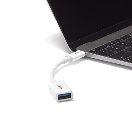 Amazon Basics USB-C to USB-A 3.1 Gen1 Female Adapter Cable Converter, 5Gbps High-Speed, USB-IF Certified, for Laptops, Tablets, Phones (iPhone 16/15), White