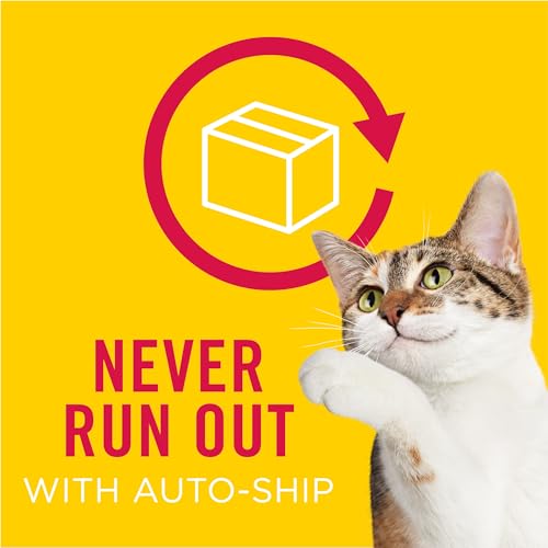 {{Product title}} | Buy from the USA & Ship Worldwide | 2PriceTags