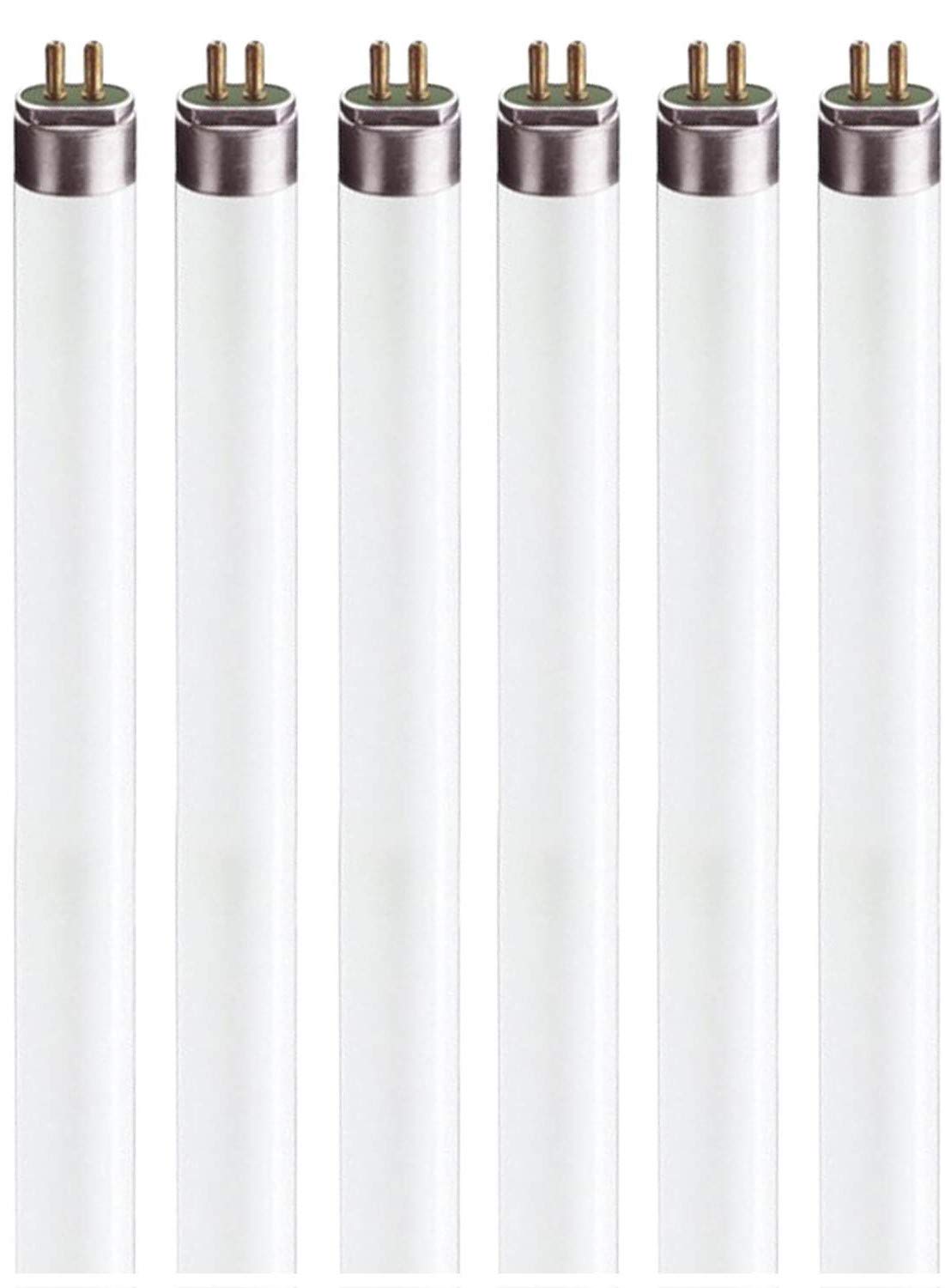 F8T5 Leuchtstoffröhren - 12 Zoll Unterbauleuchte - Kaltweiß 4100K 8 Watt Röhre - 6er-Pack