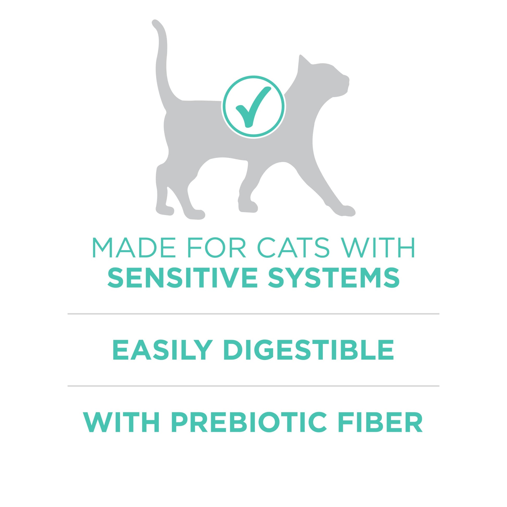 Purina ONE Sensitive Stomach, Sensitive Skin, Natural Dry Cat Food, +Plus Sensitive Skin and Stomach Formula - 16 lb. Bag