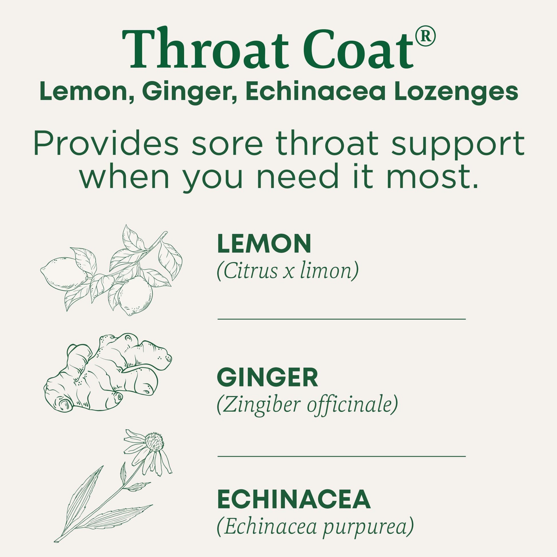 Traditional Medicinals Lozenges, Organic Throat Coat Lemon Ginger Echinacea, Sore Throat Support, 16 Individually Wrapped Lozenges