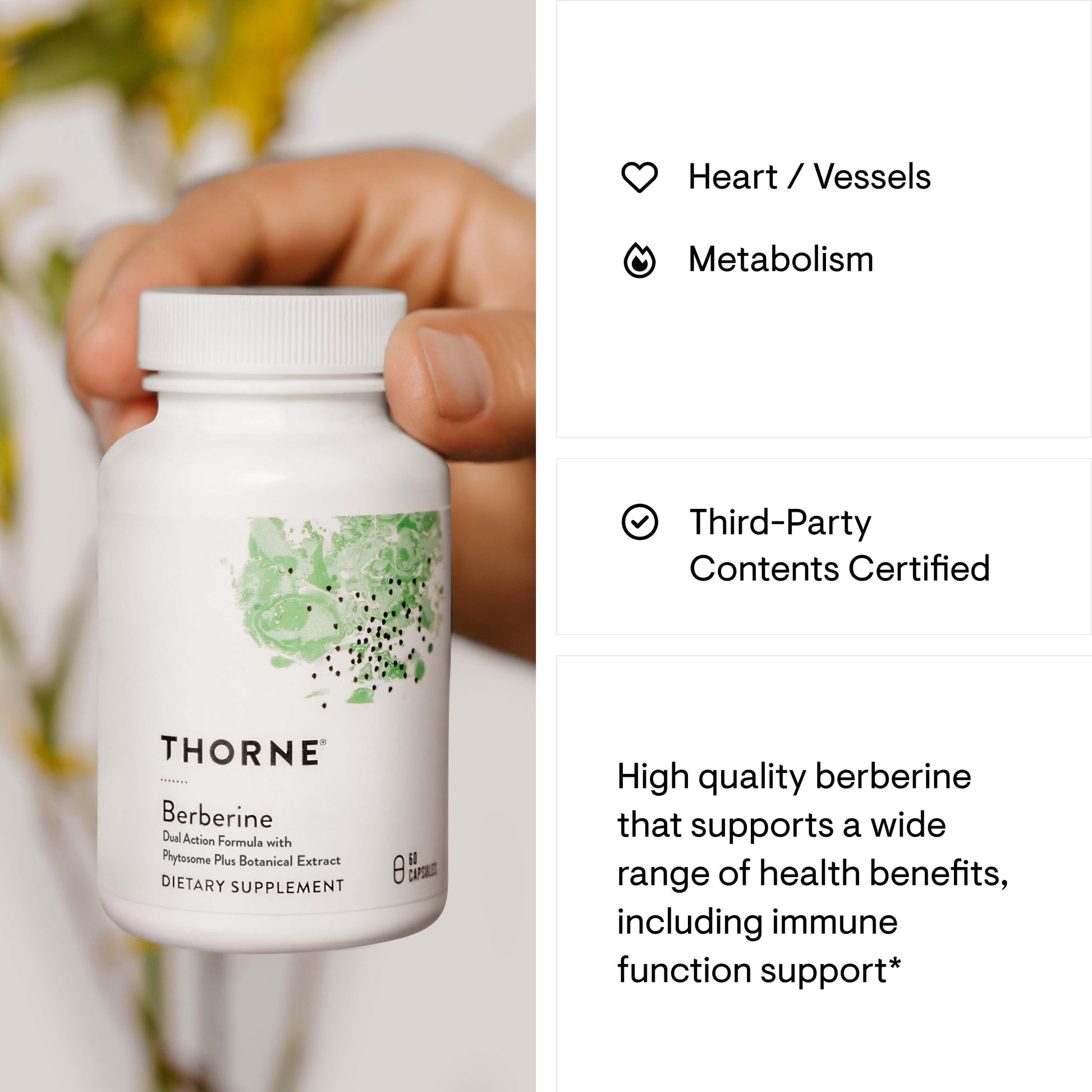 THORNE - Berberine - Dual Action Formula with Phytosome Plus Botanical Extract - Support Heart Health, Immune System, Healthy GI, Cholesterol* - Gluten-Free, Dairy-Free - 60 Capsules - 30 Servings