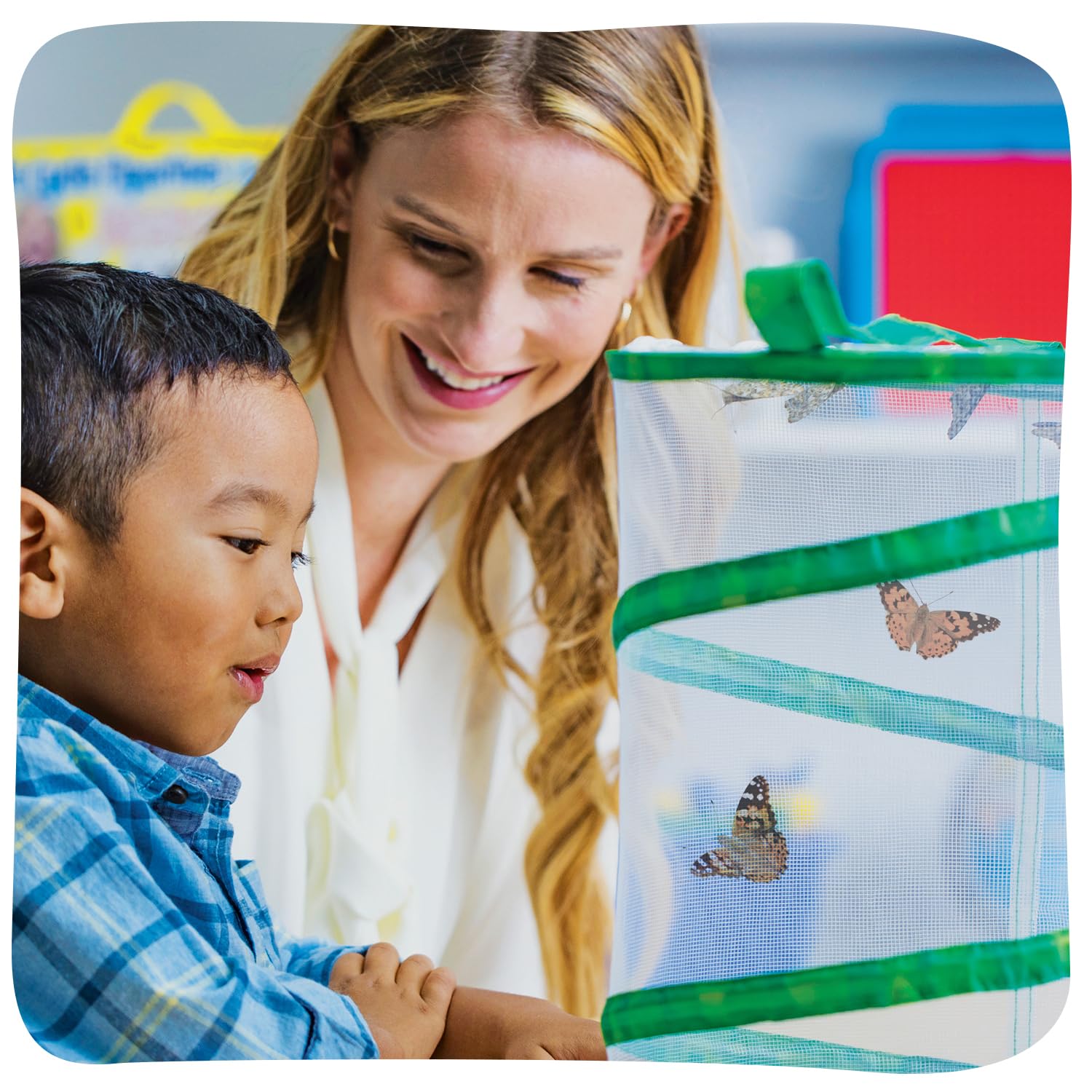 Insect Lore Raise and Release Butterfly Garden Kit – Caterpillar Habitat with redeemable Voucher – STEM-accredited Live Butterfly Growing Kit for Kids, Classrooms, and Homeschool Learning
