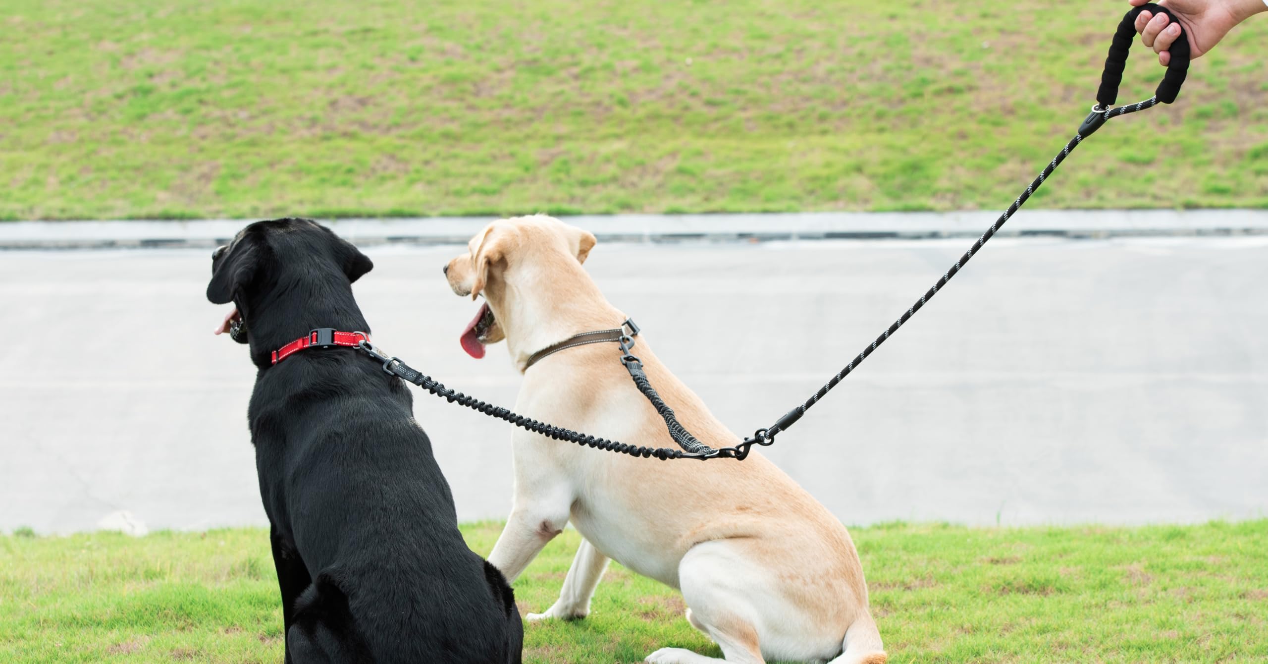 iYoShop Dual Dog Leash - 360° Swivel, No Tangle Walking Leash with Shock Absorbing Bungee for Two Dogs (Large, 25-150 lbs, Black)