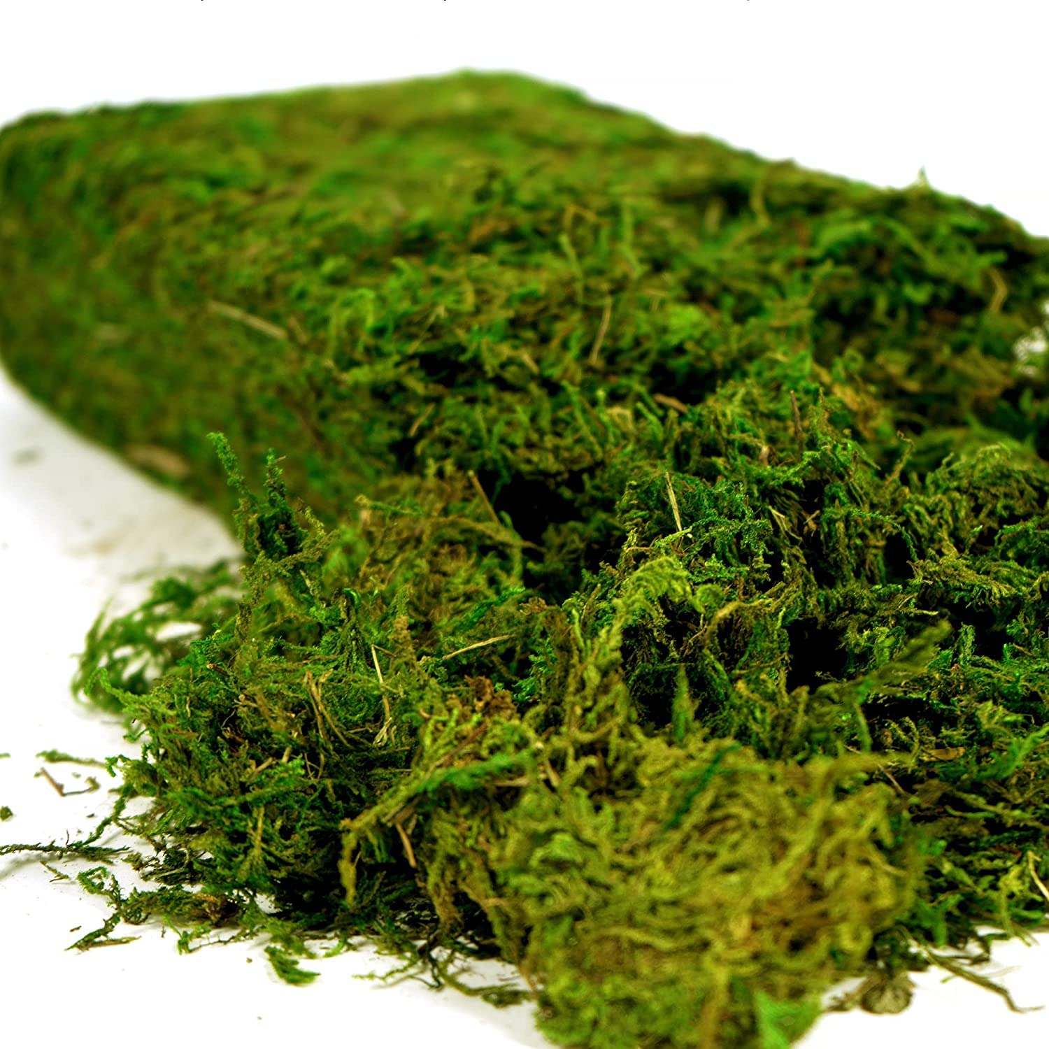 USMOLA Künstliches Moos, 450 g, Fake Moos für Bastelarbeiten, dekorative Tafelaufsätze, Feengarten, Hochzeitsdeko, künstliche Topfpflanzen, 455 g (Frischgrün)