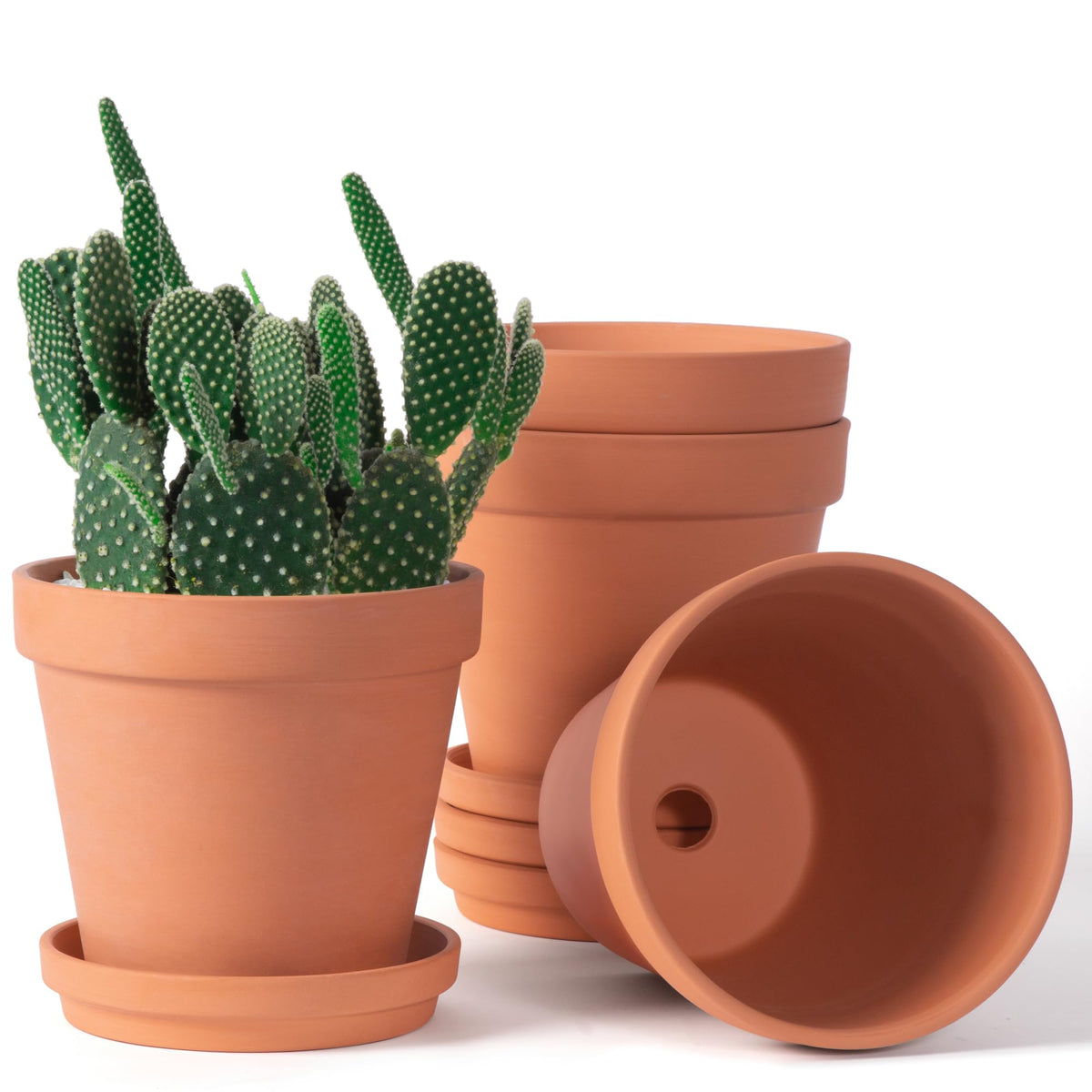 6 inch Terracotta & Clay Pots for Plants with Saucer, Medium Terra Cotta Plant Pots with Drainage Hole, Flowerpot with Tray, Terracotta Pot for Indoor Outdoor Plant - Pack of 4 Planters
