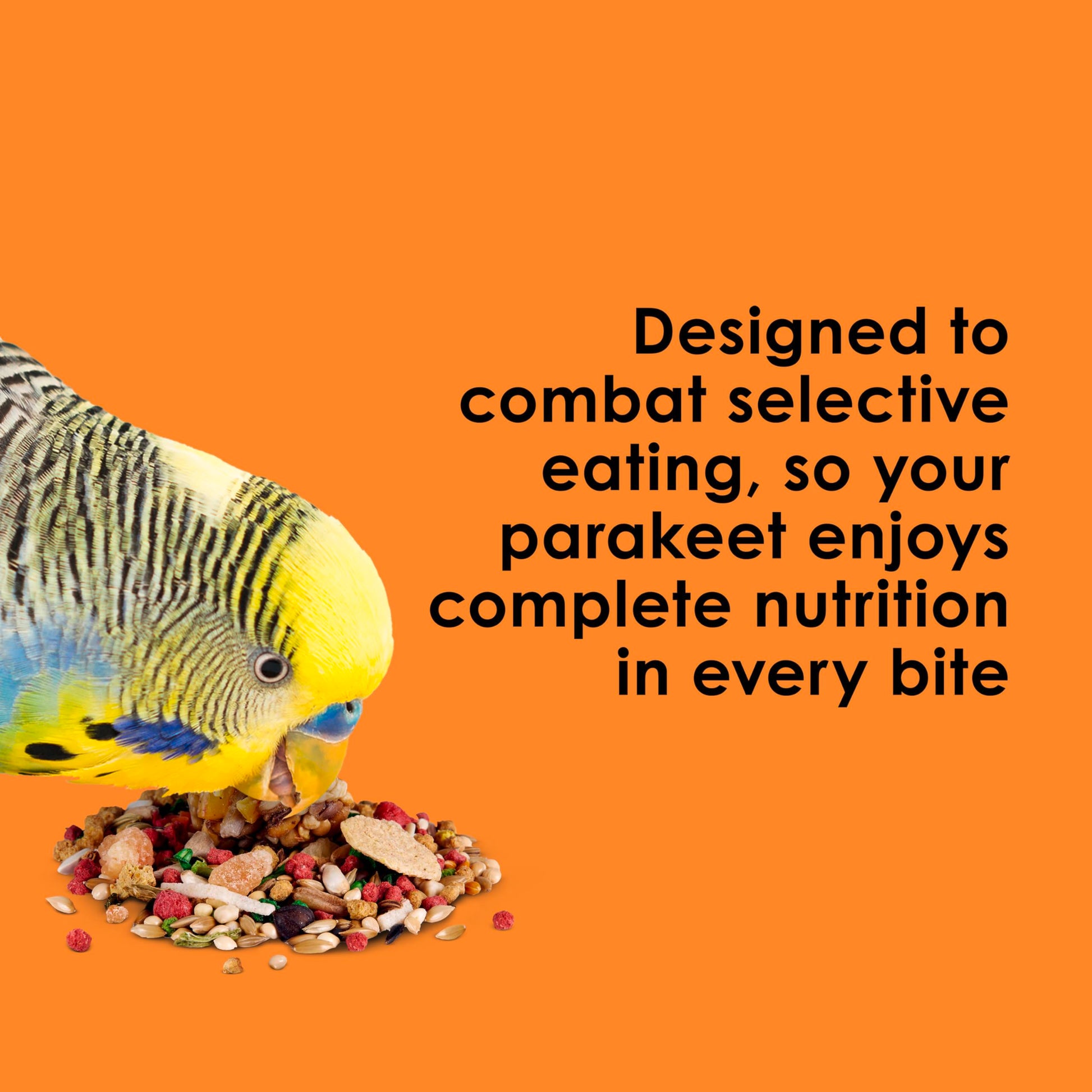 Kaytee Fiesta Parakeet Food, Nutritious and Fun Blend, Supports Skin, Feather, Digestion, Brain and Heart Health, 2 pounds
