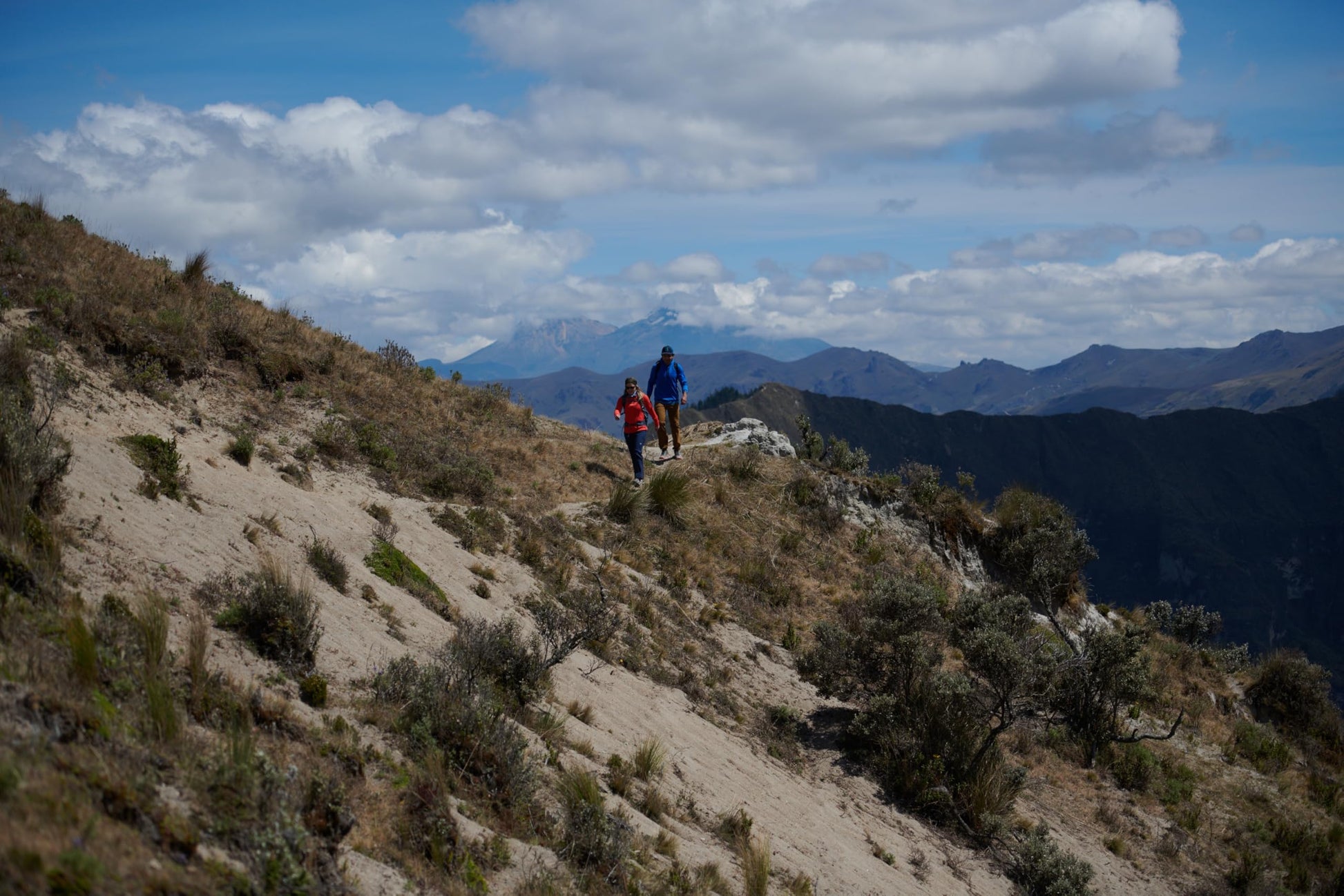 Eddie Bauer Men's Socks Dura Dri Moisture Control 6-Pair Crew Socks, Olive Assorted (6 Pairs), Large