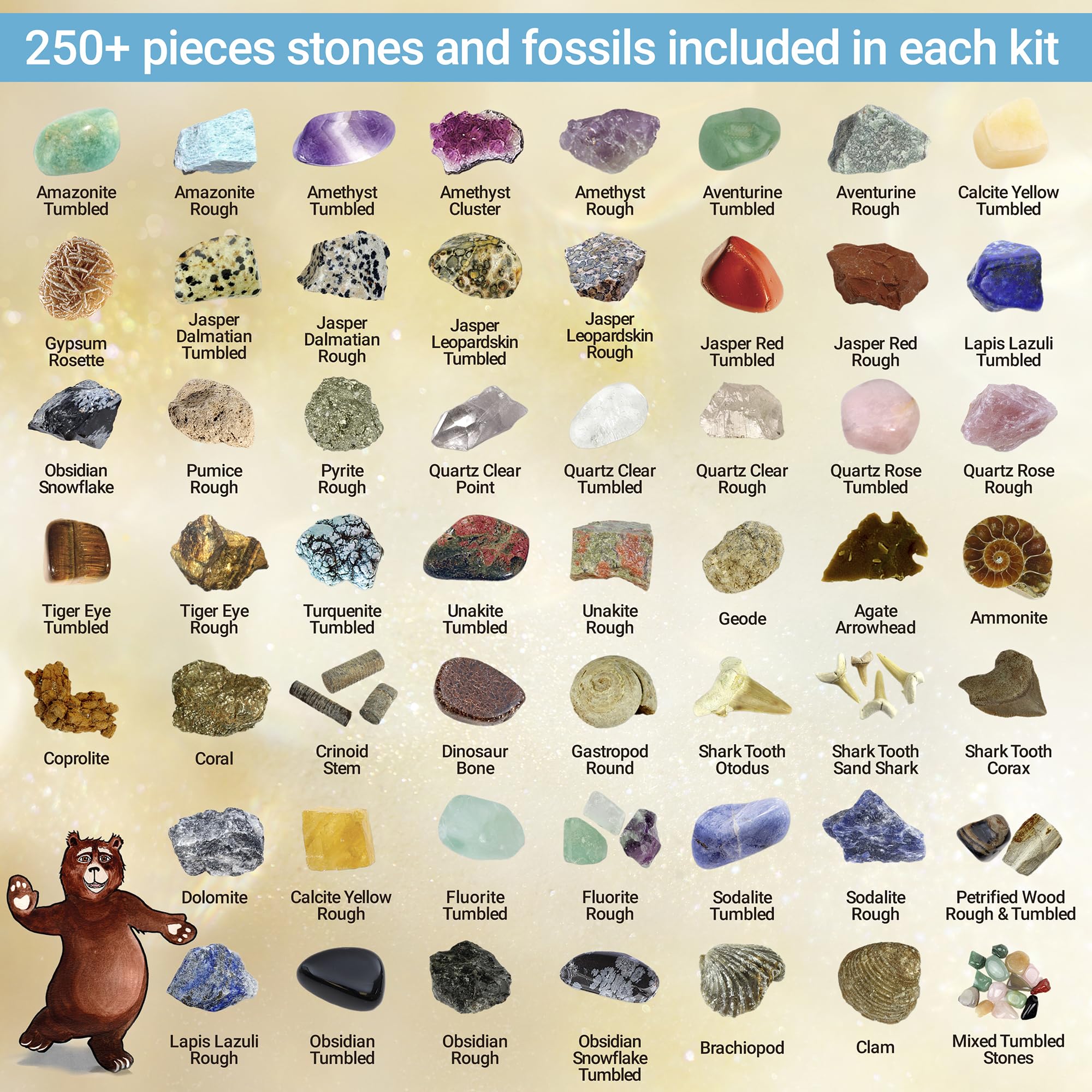 DANCING BEAR Rock, Mineral & Geodes Treasure Hunt Activity Kit (250 Pc Set) Real Shark Teeth Fossils, ID Sheet & Rock Book, STEM