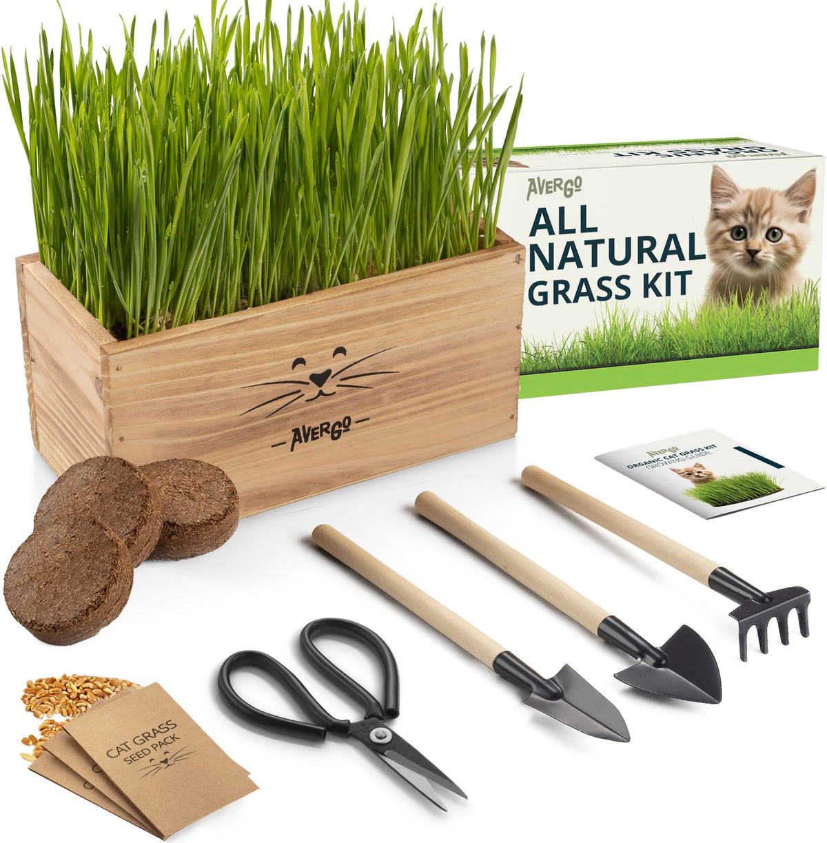 Cat Grass Kit for Indoor Cats - x4 Seed Packets | Cat Grass Seeds with Wooden Planter, Soil & Mini Gardening Tools for Nipping - Pet-Safe Wheatgrass Grass