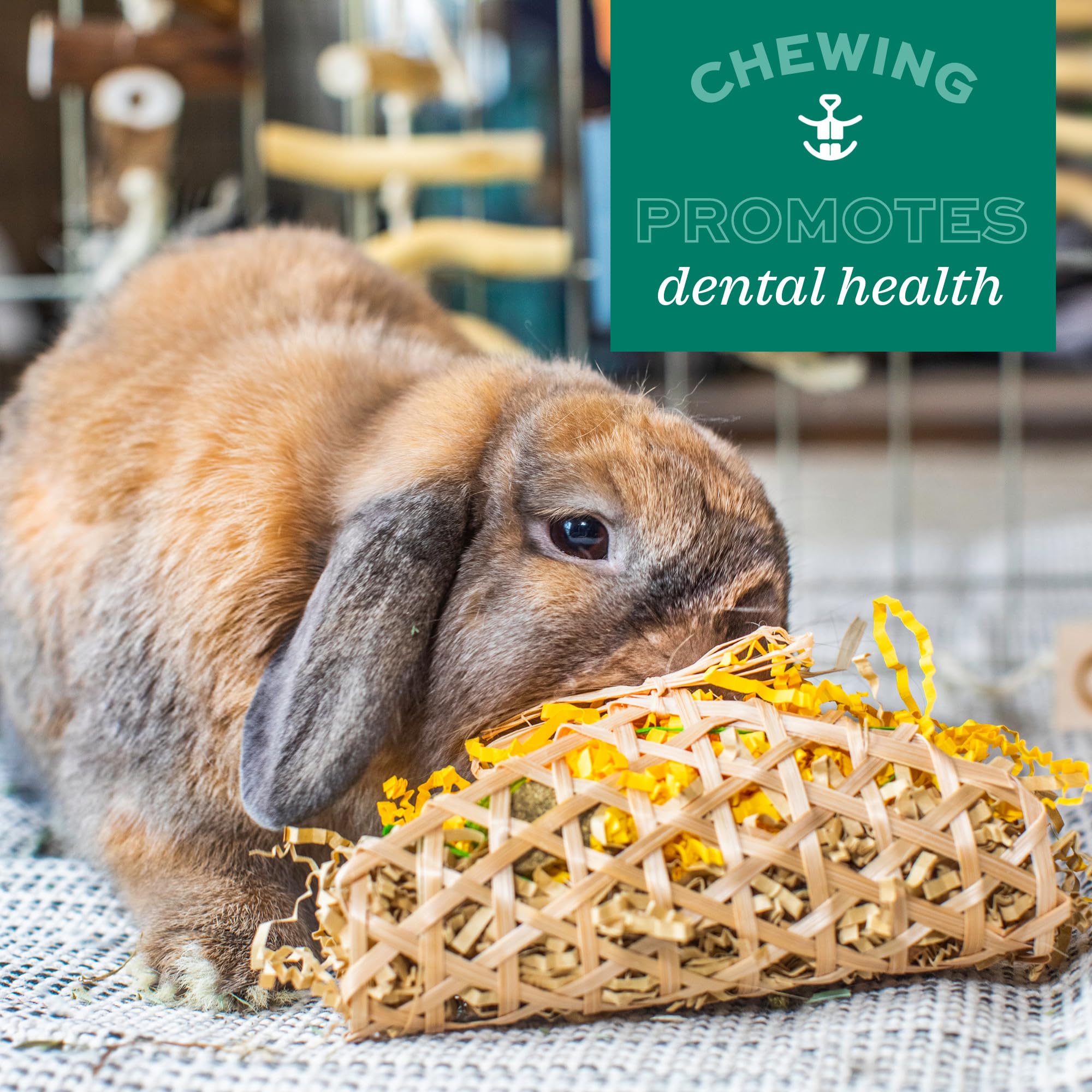Oxbow Animal Health Timothy Club Timothy Twists 6 Count (Pack of 1)