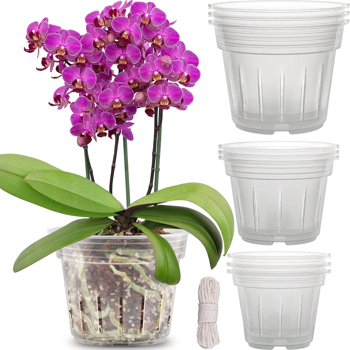 {{Product title}} | Buy from the USA & Ship Worldwide | 2PriceTags