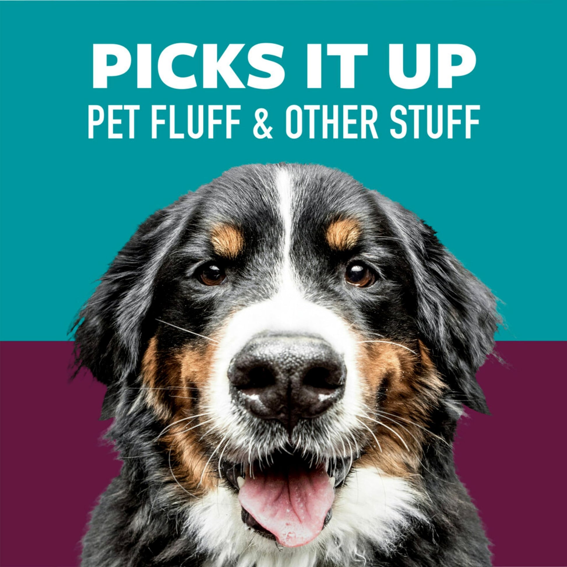 Scotch-Brite Pet Hair Pickup Extra Sticky Large Lint Roller, Designed for Removing Fur + Fluff on Couches, Clothes, Dog and Cat Beds, & More, 1 Pack, 60 Easy-Tear Adhesive Sheets Total