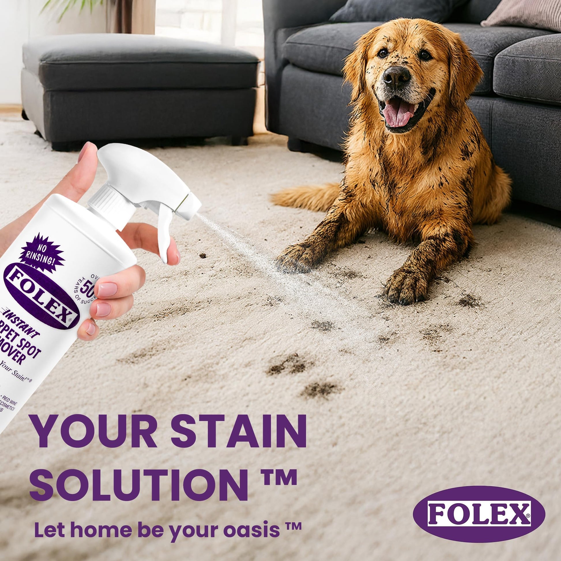 FOLEX Instant Carpet Spot Remover 32 oz – Powerful Stain Remover for Carpets, Upholstery & Rugs – Eliminates Pet Stains, Grease, Red Wine, Food, Makeup & More – With Reusable Cleaning Cloth – 1 Pack