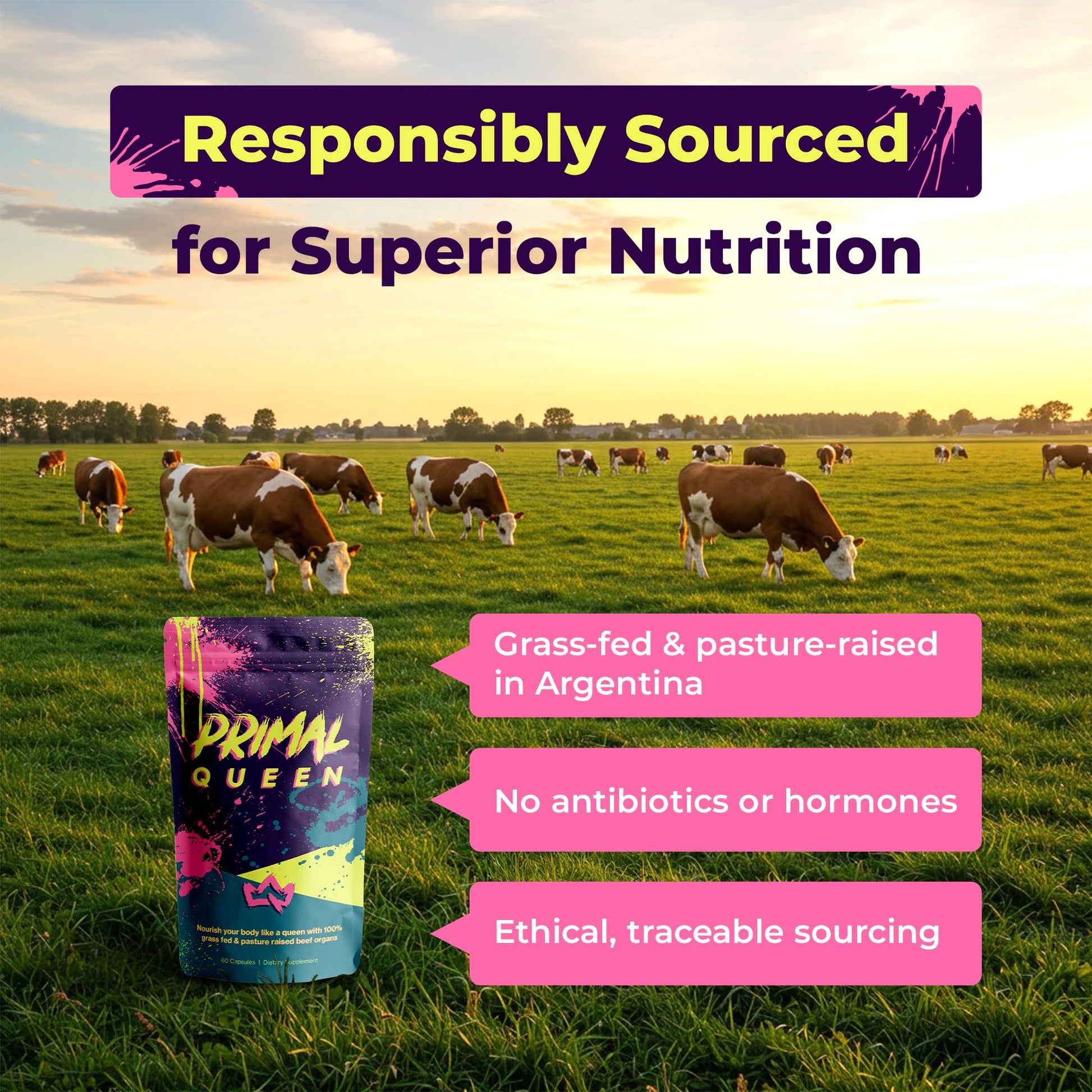 Primal Queen Female-Optimized Beef Organ Superfood Supplement (Beef Liver, Kidney, Heart, & 3 More) - 100% Grass Fed, Pasture Raised Cattle - Balance Hormones, Energy, & More for Women