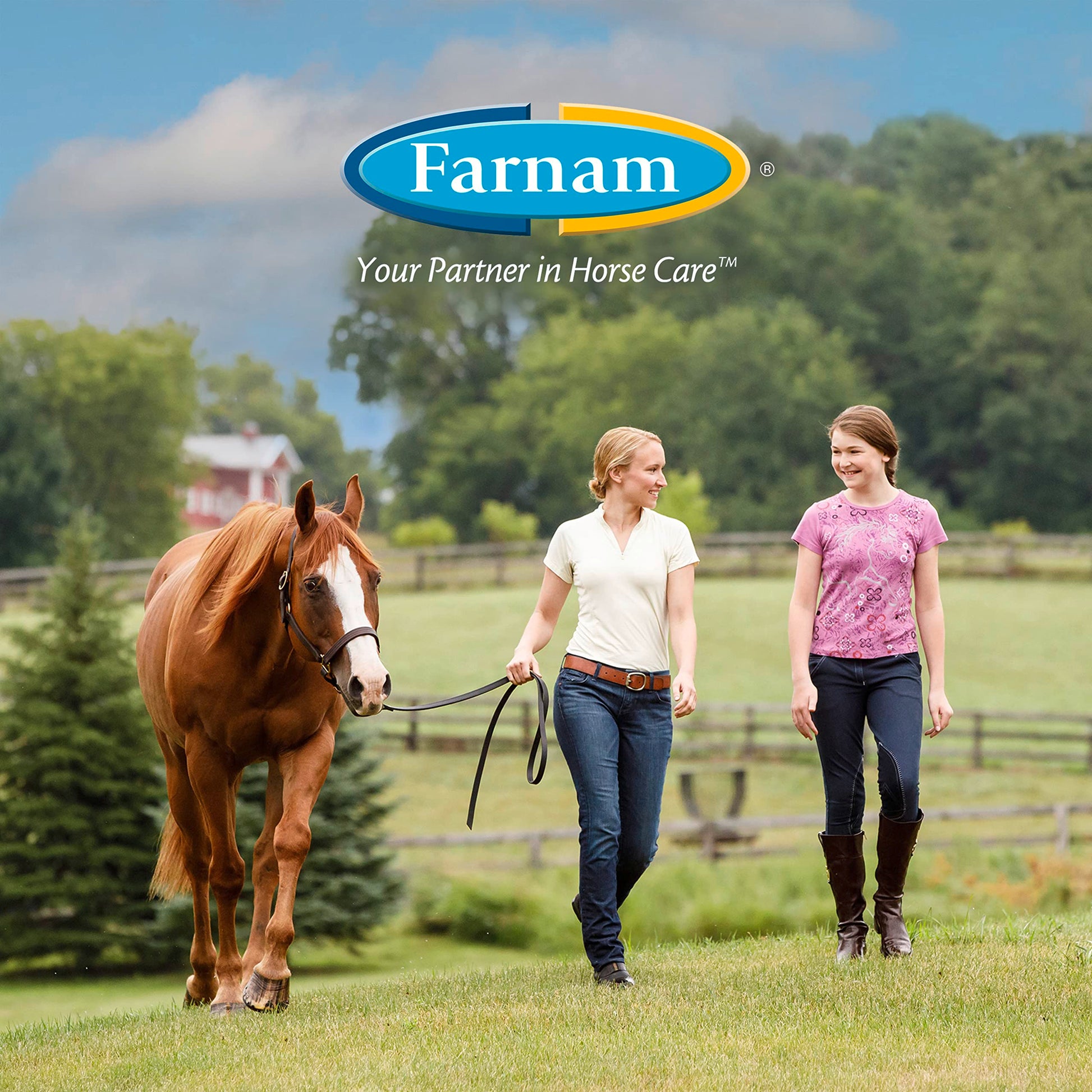Farnam SWAT Clear Fly Repellent Ointment for Horses, Repels House, Stable, Face & Horn Flies, Protects Wounds on Horses, Ponies & Dogs, 7 oz.