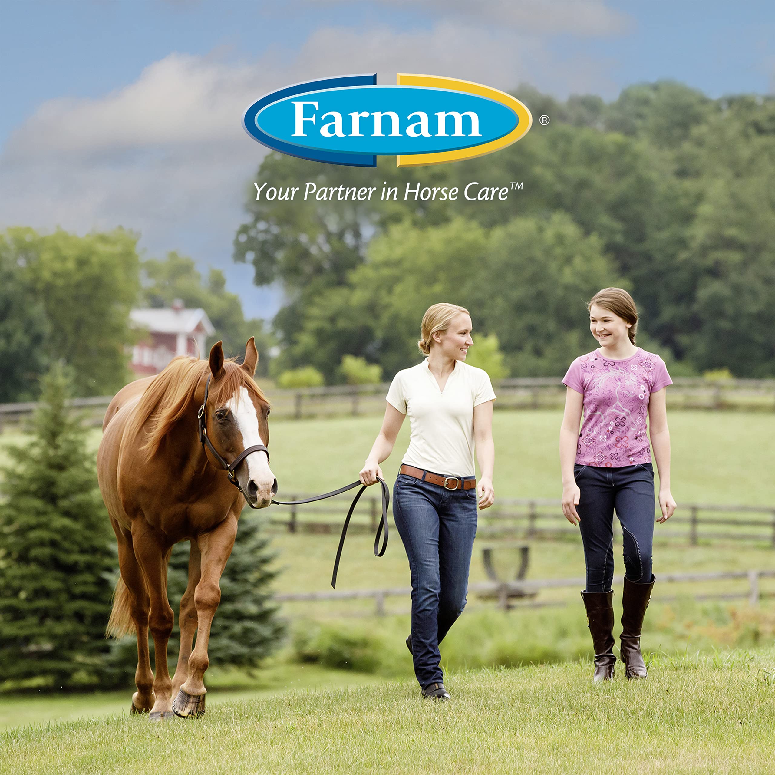 Farnam SWAT Clear Fly Repellent Ointment for Horses, Repels House, Stable, Face & Horn Flies, Protects Wounds on Horses, Ponies & Dogs, 7 oz.