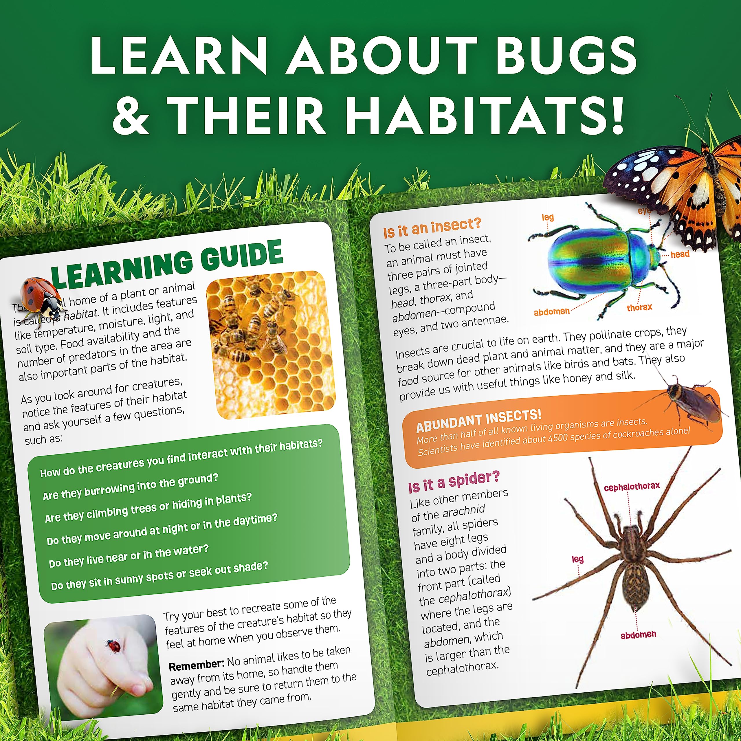 National Geographic Bug Catcher Kit for Kids - Kids Bug Habitat with Magnified Viewer, Bug Catcher, Tweezers & Learning Guide, Insect Habitat, Outdoor Toys, Kids Bug Catching Kit, Bug Box