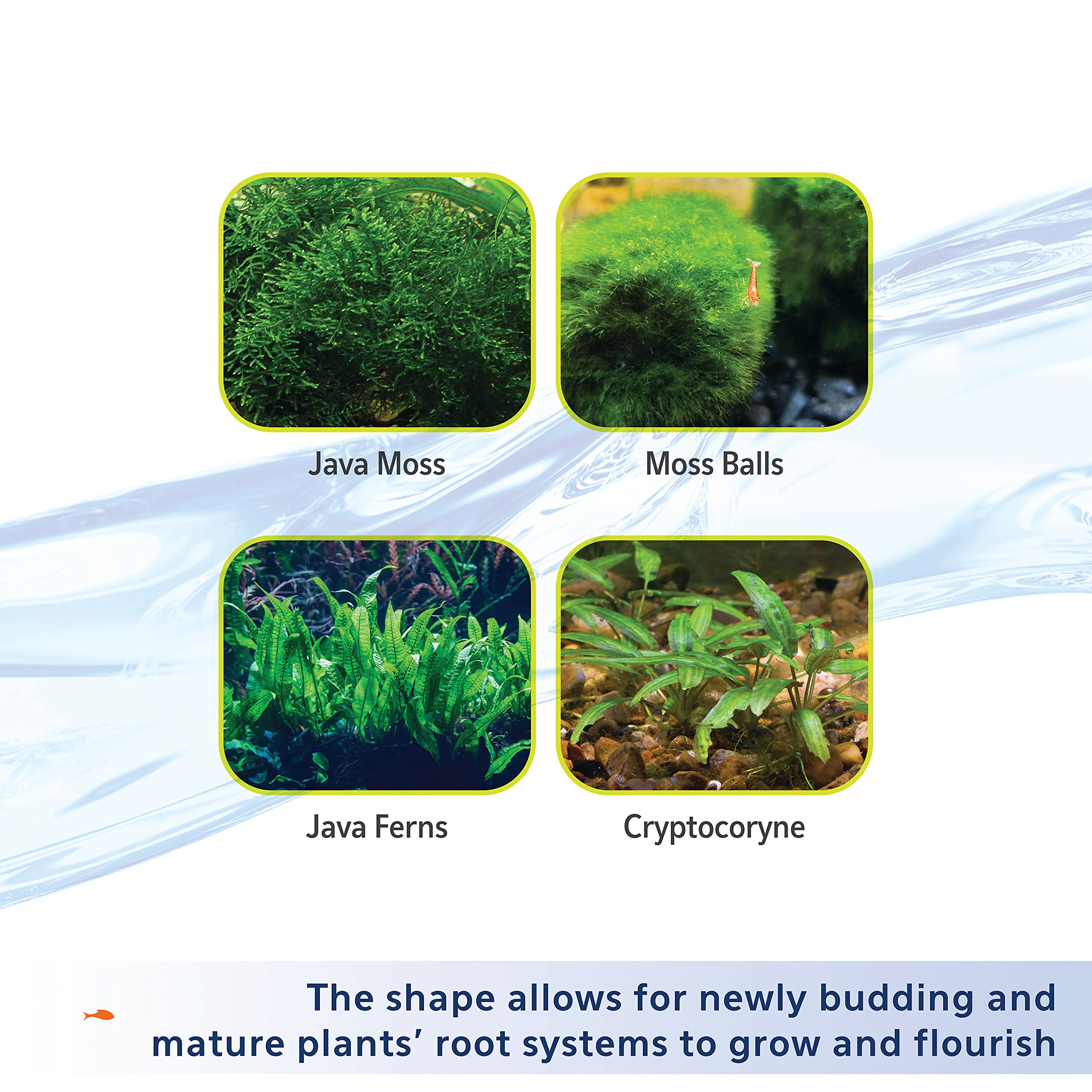 Aqueon Plant and Shrimp Aquarium Substrate, Aqua Soil for Fish Tanks, 5 Pounds