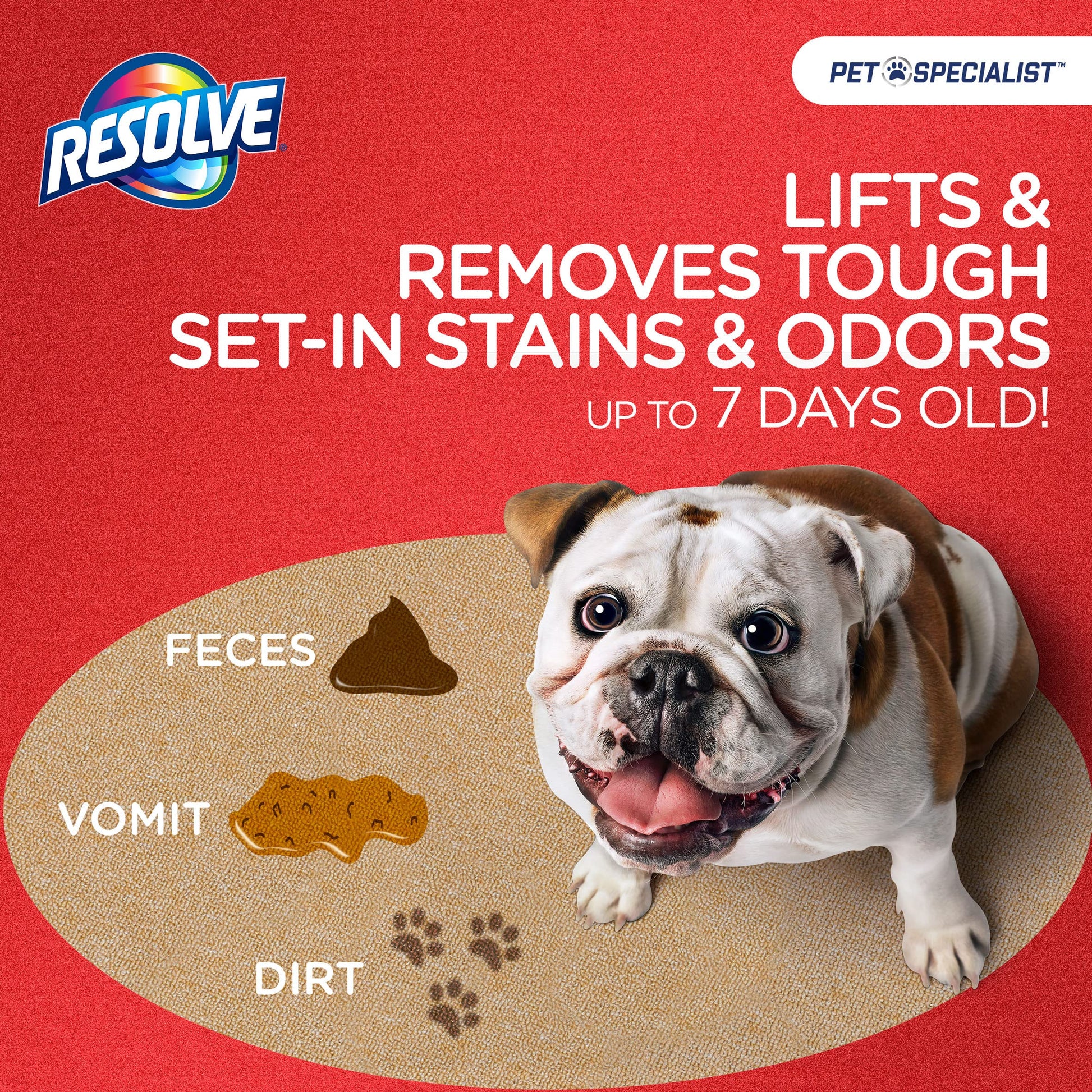 Resolve Pet Specialist Heavy Traffic Foam, Carpet Cleaner, Pet Stain And Odor Remover, Carpet Cleaner Solution, 2 Pack Of 22oz